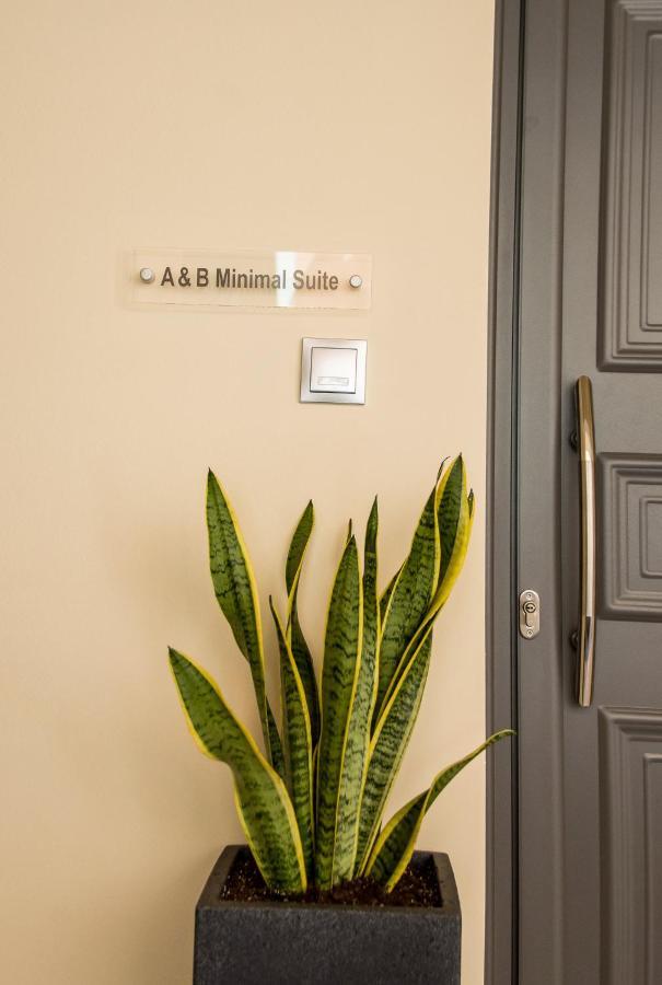 A & B Minimal Suite Ιι With Sea View In Argostoli Екстер'єр фото